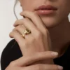 Anello Panthere De Cartier in oro giallo e onice | Cartier Us