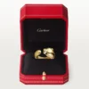 Anello Panthere De Cartier – Oro giallo, onice, granato tsavorite – Cartier