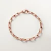 Bracciale Santos De Cartier, catena, modello medio