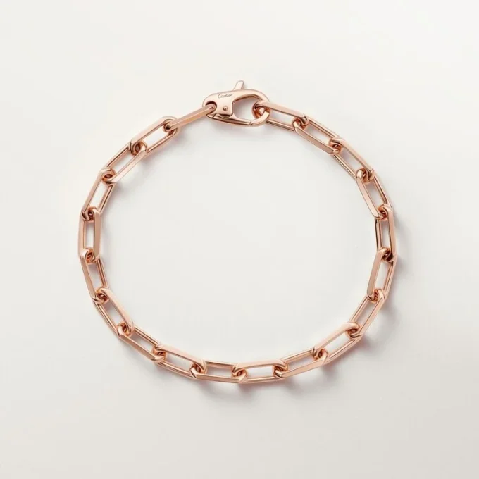 Bracciale Santos De Cartier, catena, modello medio