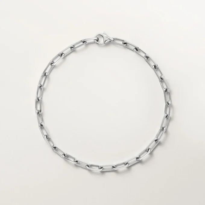 Bracciale Santos De Cartier, catena, modello piccolo