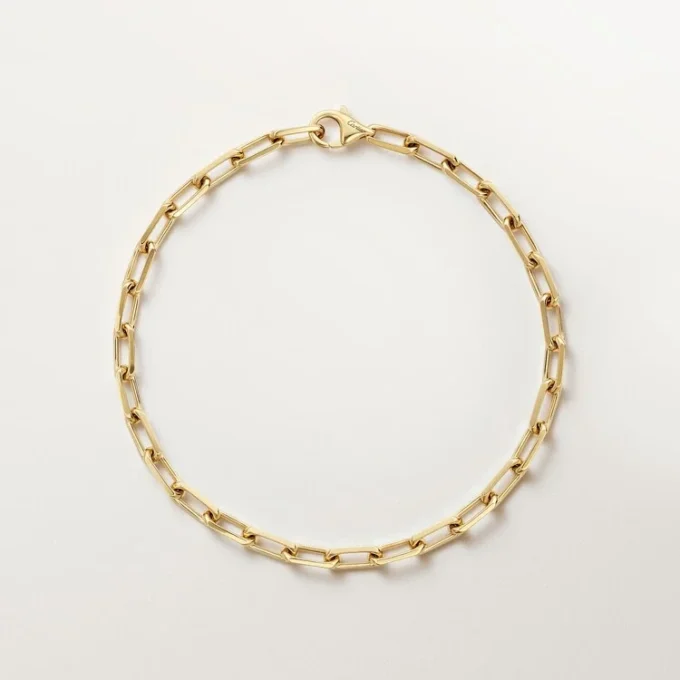 Bracciale Santos De Cartier, catena, modello piccolo