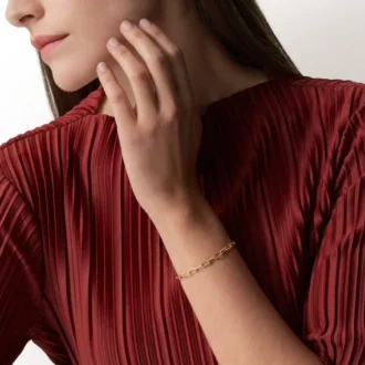Bracciale Santos De Cartier, catena, modello piccolo