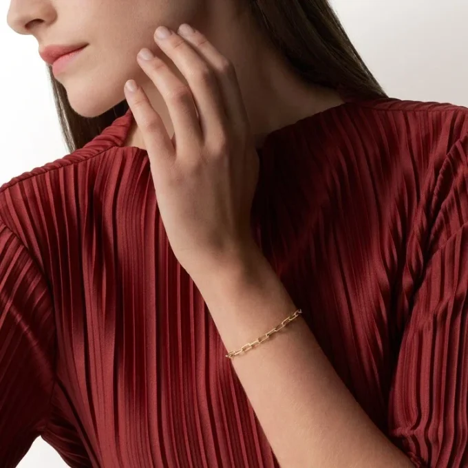 Bracciale Santos De Cartier, catena, modello piccolo