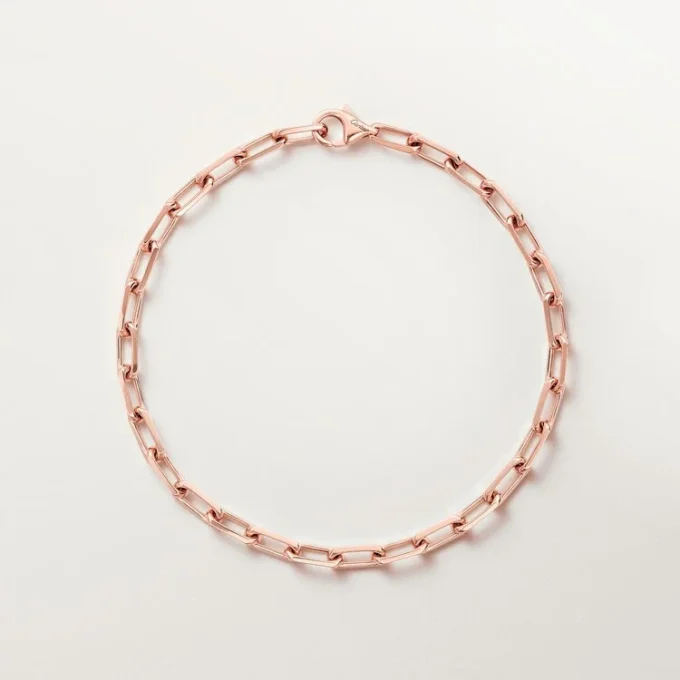 Bracciale Santos De Cartier, catena, modello piccolo