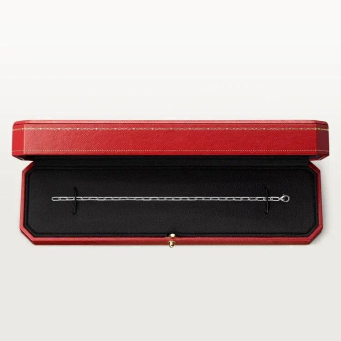 Bracciale Santos De Cartier, catena, modello piccolo