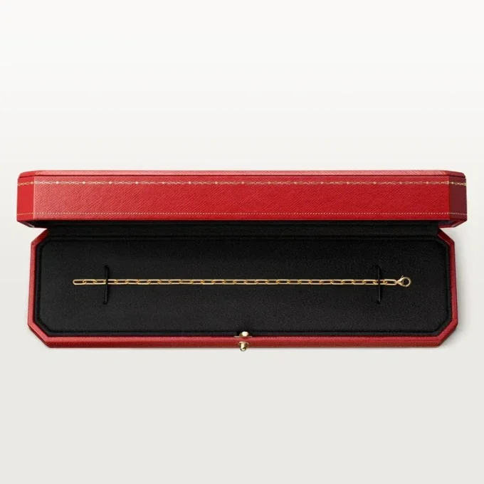Bracciale Santos De Cartier, catena, modello piccolo