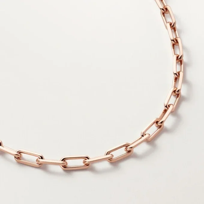 Collana Santos De Cartier, catena, modello medio