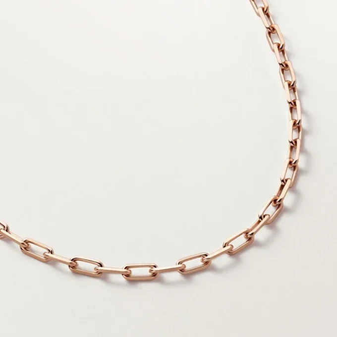 Collana Santos De Cartier, catena, modello piccolo