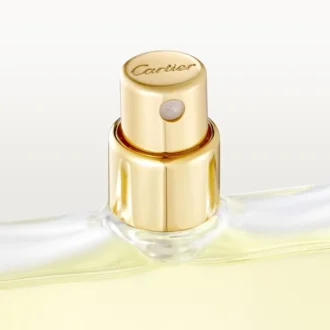 Confezione ricarica Eau de Toilette – Declaration | Cartier