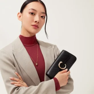 Mini borsa, Panthere C