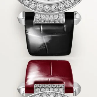 Orologio Pasha De Cartier
