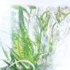 Profumo al geranio – Luxuriance – Rivieres De Cartier | Cartier