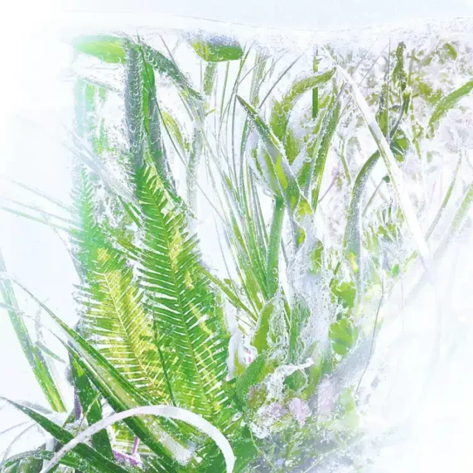 Profumo al geranio – Luxuriance – Rivieres De Cartier | Cartier