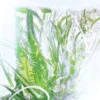 Ricarica profumo Geranium – Rivieres De Cartier | Cartier