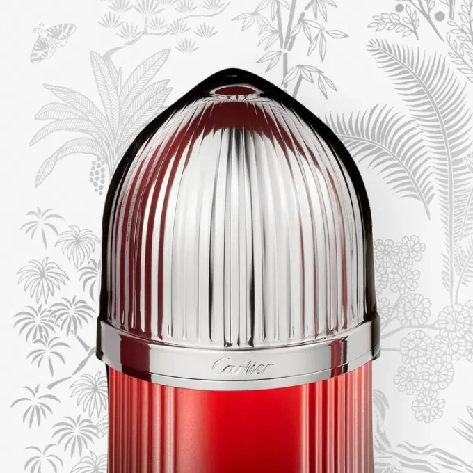 Set regalo Pasha De Cartier Sport Edition